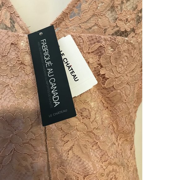 NWT Le Chateau PLUS SIZE Blush Peach Salmon Pink Sheer Floral Mesh Bodycon dress - Picture 5 of 5